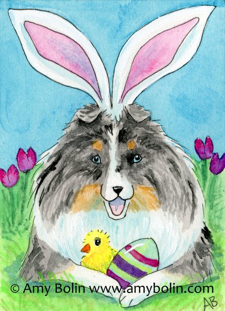 Blue Merle Sheltie Easter Sheltie Watercolor Painting by Amy Bolin