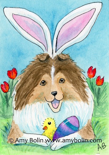 Sable Easter Sheltie Watercolor painting 2016 by Amy Bolin